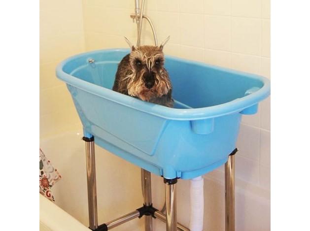 Una bañera para perros - aqua