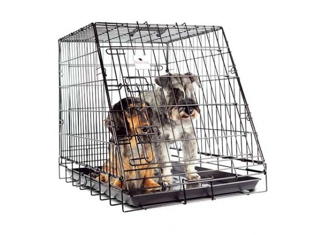 Las mejores jaulas para perros grandes para coche y exterior
