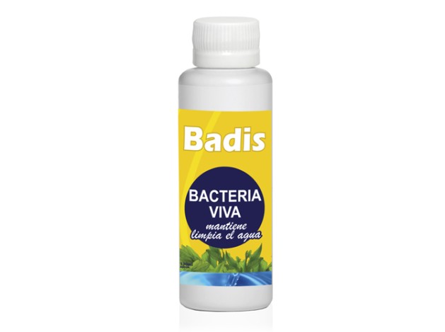 BADIS BACTERIA VIVA
