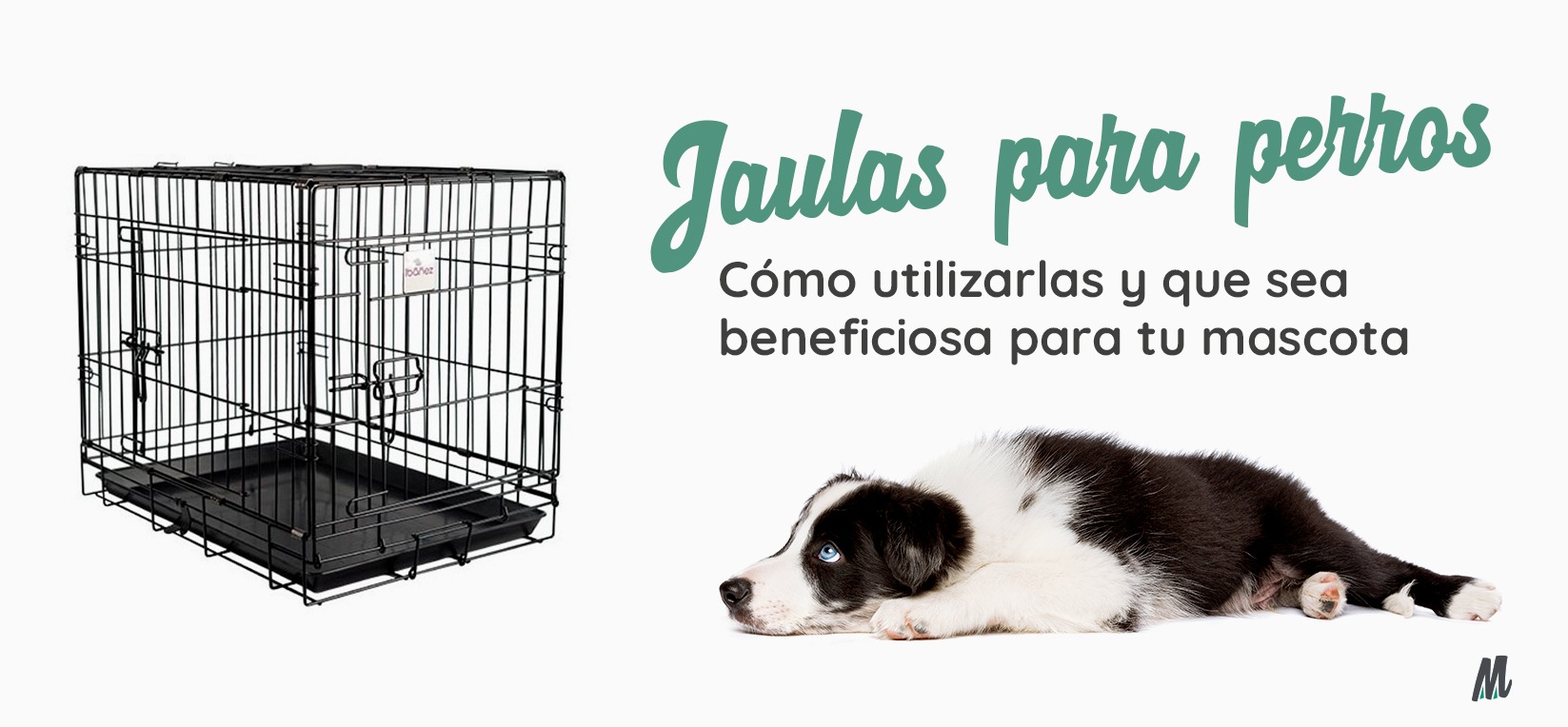 ▷ Cómo utilizar una jaula para perros - Mis Mascotas - MisMascotas